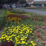 Britain in Bloom competi...