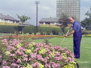 Britain in Bloom competition, showing gardener and flowerbed near Vicarage Road entrance of Old Dagenham Park, Dagenham, 1971