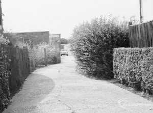Offending hedge at rear of Woodward Library, Dagenham, showing rear of Julia Engwell clinic, taken from east, 1971