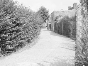 Offending hedge at rear of Woodward Library, Dagenham, showing portion of hedge which offended with car, 1971