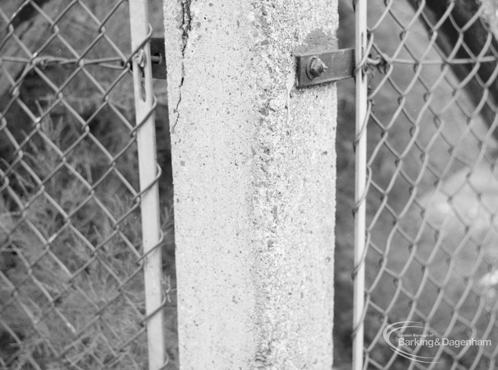 Offending hedge at rear of Woodward Library, Dagenham, showing part of body filler adhering to post, 1971