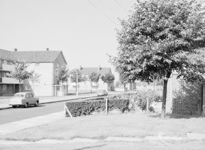 Houses in Rose Lane, Marks Gate, taken from Green across private garden and with tree at right, 1971