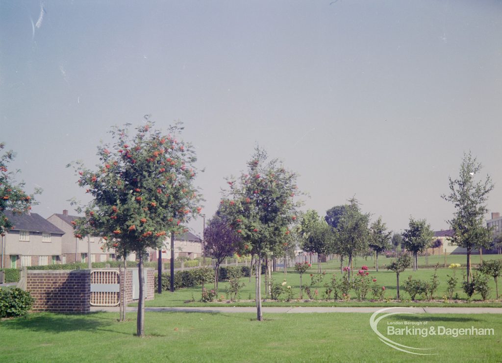 Grounds of John Preston School, Rose Lane, Marks Gate, 1971