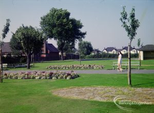 Britain in Bloom competition, showing St Chad’s Park, Chadwell Heath and Japan Road in background, 1971
