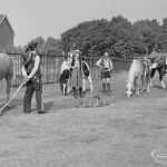 Barking Carnival 1971 fr...