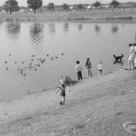 Barking Carnival 1971 from Mayesbrook Park, showing two women, group of children and dog by side of lake, with ducks in lake, 1971
