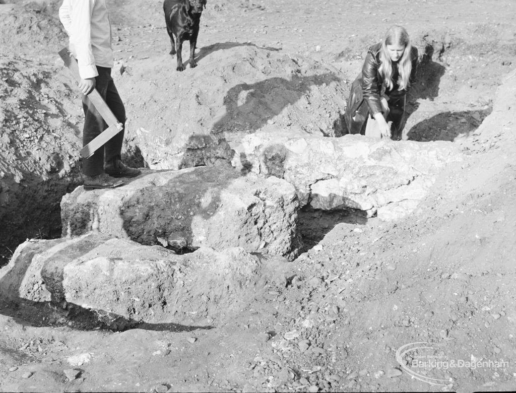 Barking Abbey recent excavation, showing Miss Pat Wilkinson, colleague and dog looking at series of small cavities, 1971