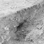 Barking Abbey recent exc...