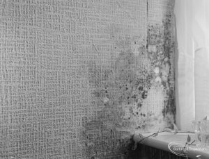 Public Health, showing effects of condensation at 161 Church Elm Lane, Dagenham, in lounge, 1972