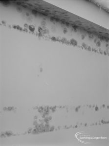Public Health, showing effects of condensation at 161 Church Elm Lane, Dagenham, parallel tracks following ceiling beams in main bedroom, 1972