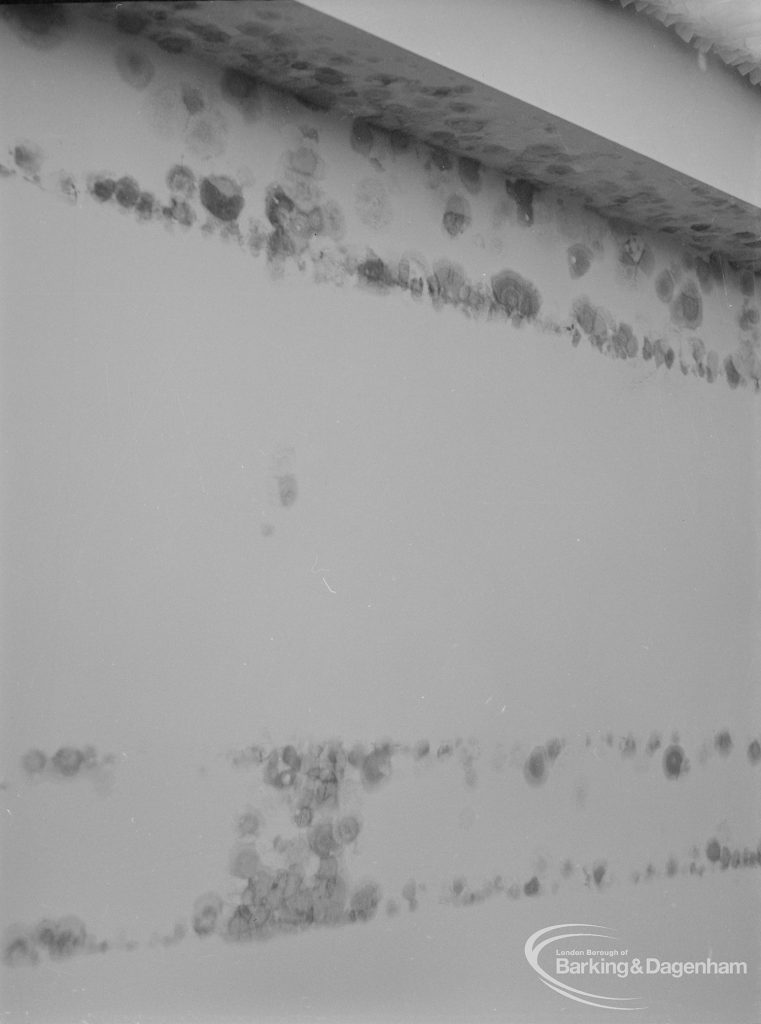Public Health, showing effects of condensation at 161 Church Elm Lane, Dagenham, parallel tracks following ceiling beams in main bedroom, 1972