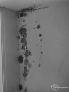 Public Health, showing effects of condensation at 161 Church Elm Lane, Dagenham, spots on wall in hallway next to front door, 1972