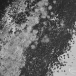 Public Health, showing effects of condensation at 161 Church Elm Lane, Dagenham, 1972