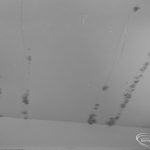 Public Health, showing e...