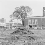 Old Barking landscaping, showing Assembly Hall from south-south-east across cleared area, 1972