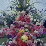 Dagenham Town Show 1972 ...