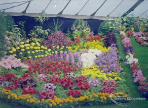 Dagenham Town Show 1972 at Central Park, Dagenham, showing an official floral display with closely packed blooms, 1972