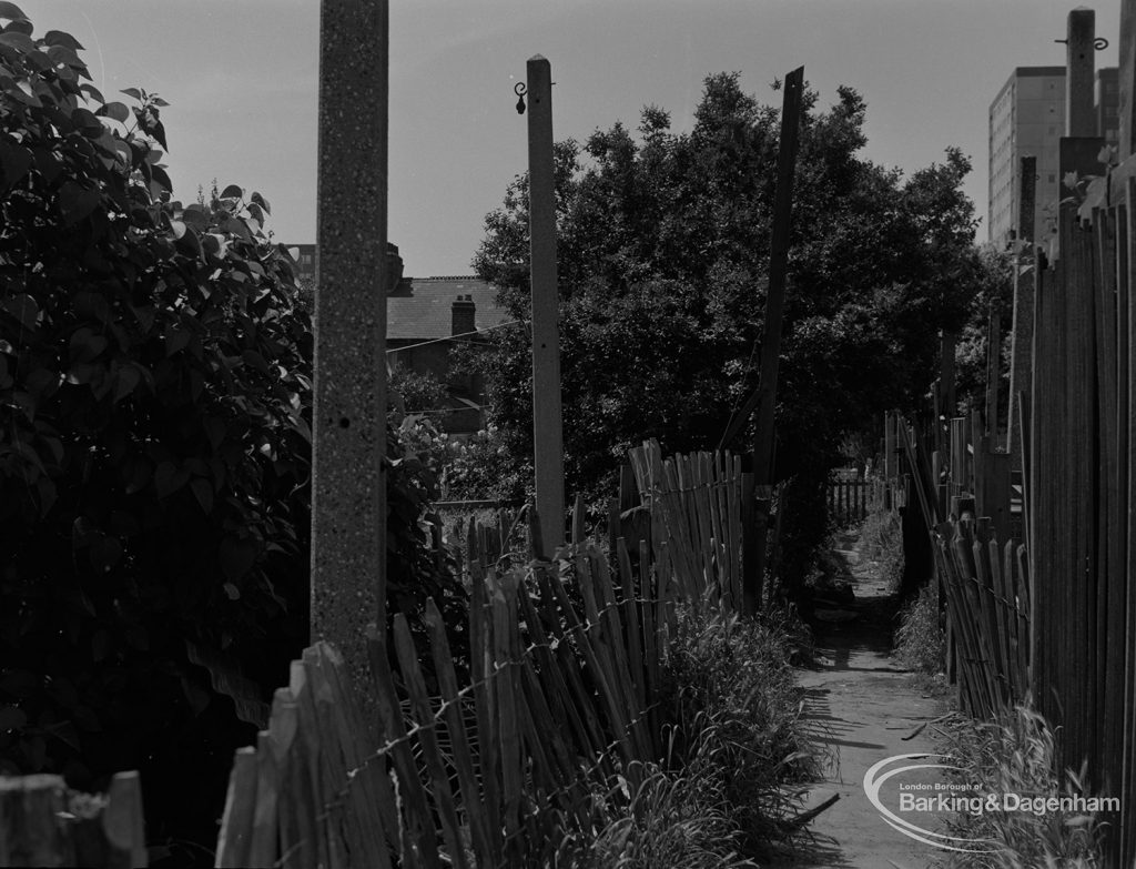 Old Barking, showing alley between gardens off Morley Road, looking towards King Edward’s Road, 1973