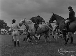 Dagenham Town Show 1973 at Central Park, Dagenham, showing Horse Trials with chestnut and grey waiting in paddock, 1973