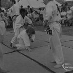 Dagenham Town Show 1973 ...