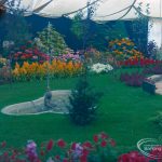 Dagenham Town Show 1973 ...