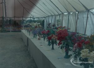 Dagenham Town Show 1973 at Central Park, Dagenham, showing a table of cut flowers in the Horticulture marquee, 1973