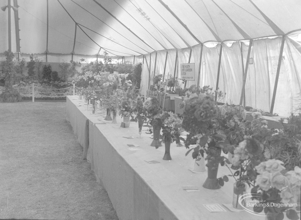 Dagenham Town Show 1973 at Central Park, Dagenham, showing a table of cut flowers in the Horticulture marquee, 1973
