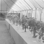 Dagenham Town Show 1973 ...