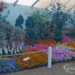 Dagenham Town Show 1973 at Central Park, Dagenham, showing London Borough of Barking Parks Department display, 1973