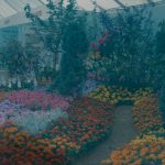 Dagenham Town Show 1973 at Central Park, Dagenham, showing London Borough of Barking Parks Department display, with marigolds and other flowers, 1973