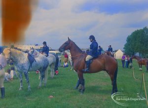 Dagenham Town Show 1973 at Central Park, Dagenham, showing Horse Trials, with greys and mounted, alert chestnut in the paddock, 1973