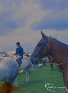 Dagenham Town Show 1973 at Central Park, Dagenham, showing Horse Trials, with head only of chestnut in paddock with ears forward, 1973