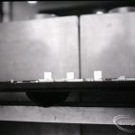 A model showing the rede...