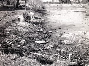 Dredging of Moat at Valence House, Dagenham, showing drained moat from south end,1965
