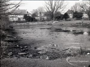 Dredging of Moat at Valence House, Dagenham, showing drained moat from south limit, looking north-east, 1965
