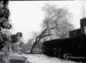 Valence House, Dagenham during the dredging of the Moat, showing snow by hedge and leaning tree, 1965