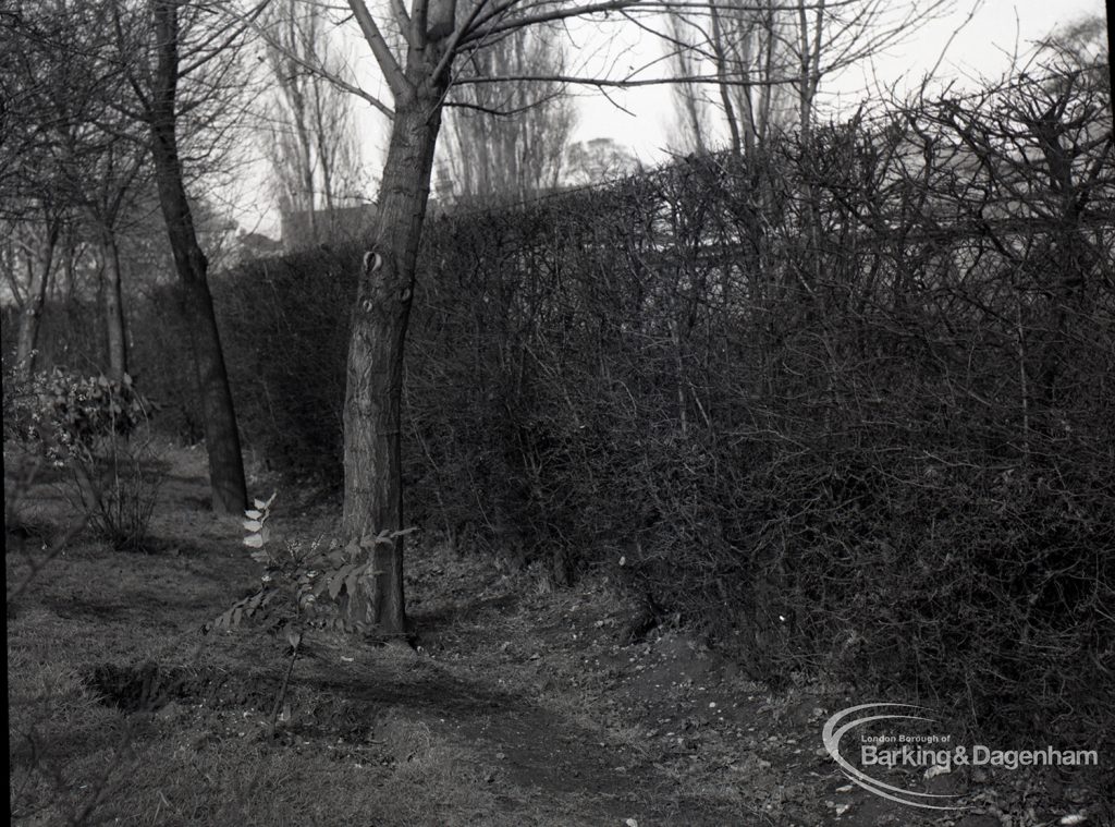 Wantz Sewer Environment scheme showing existing site where Wantz Sewer is to go, showing close up view of hedge at north-east corner, 1965