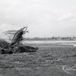 Waterways, showing new b...