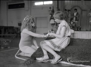 Dagenham Secondary school play, with children performing Androcles and the Lion, showing Androcles removing thorn from lion’s paw, 1965