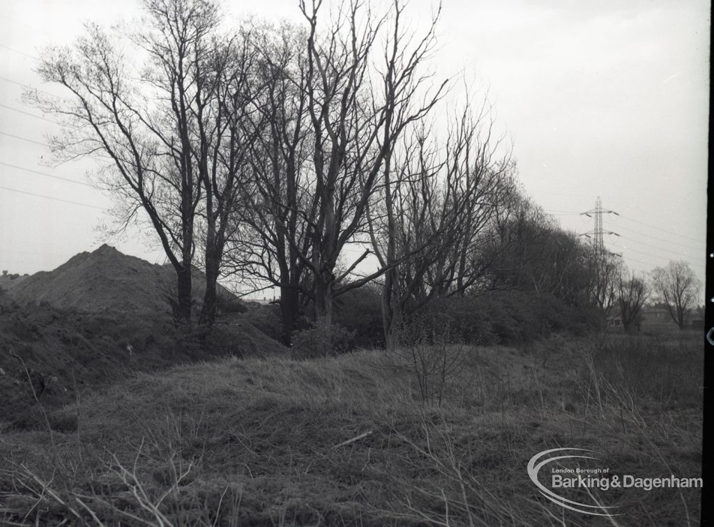 Dagenham Sewage Works Reconstruction IV, showing trees on north-west edge, looking south,1965