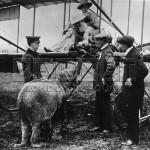 1910 Mrs de Beuvoir Stocks