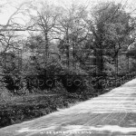 1910 Wise Lane