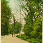 Colindeep Lane