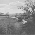 Silk Stream