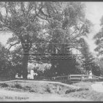 Hale Lane