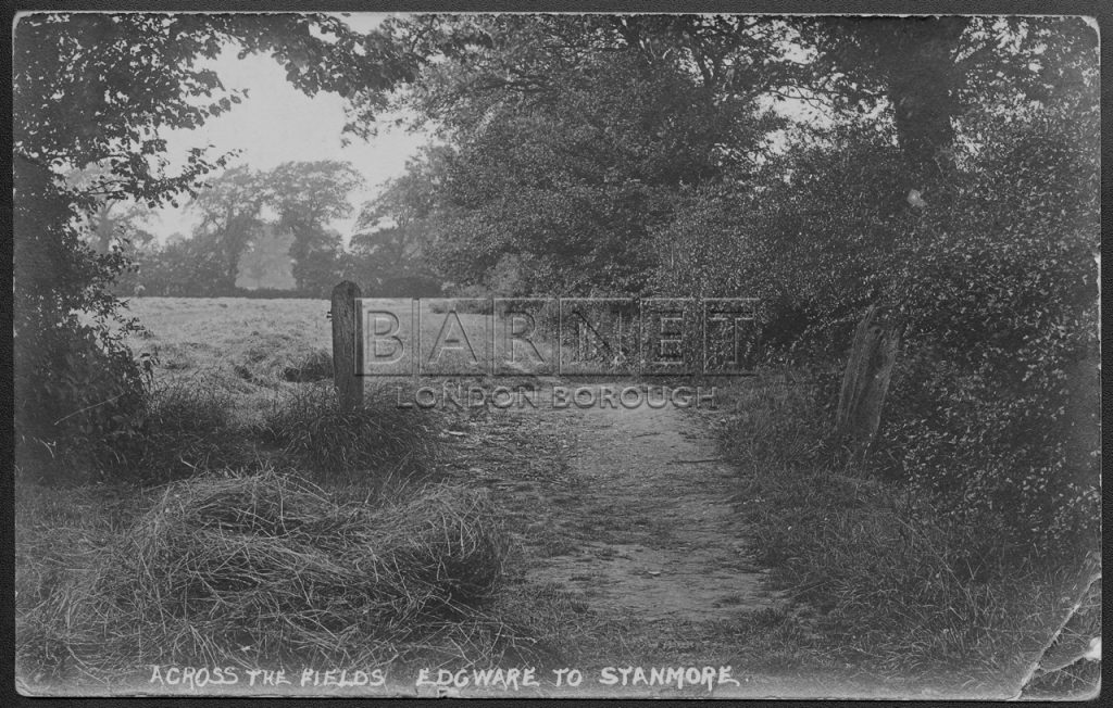 Stanmore Fields
