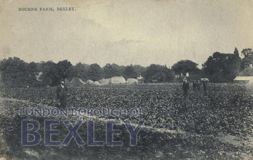 Bourne Farm, Bexley c.1910