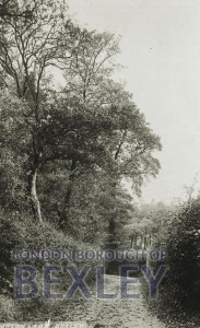 PCD_249 Upton Lane, Bexley 1919