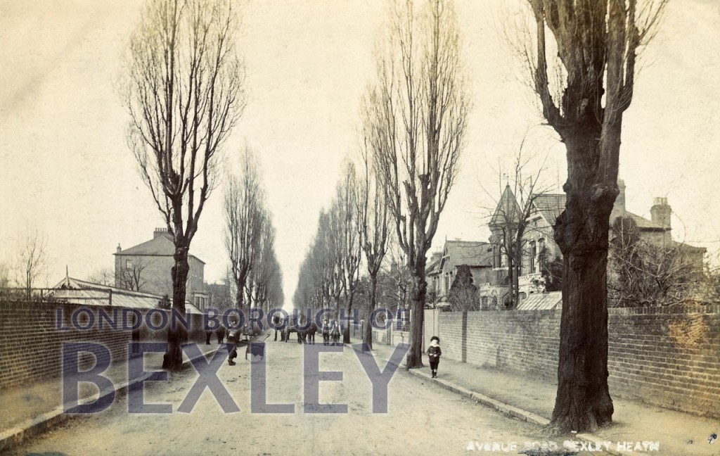 PCD_279 Avenue Road, Bexley Heath c.1908 Bexley Borough PhotosBexley