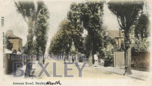 PCD_280 Avenue Road, Bexley 1905